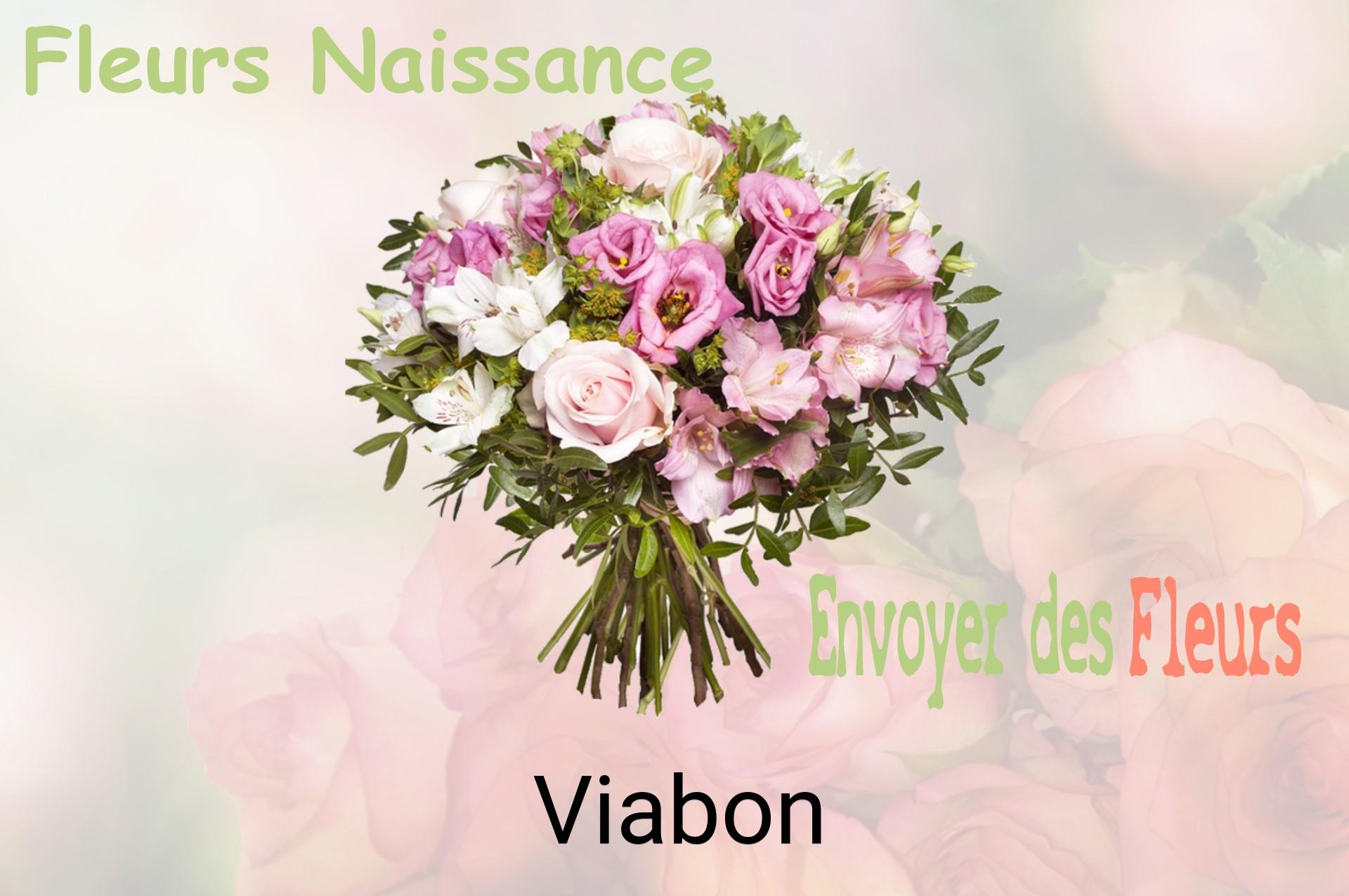 Bouquet de fleurs de naissance livré à Viabon